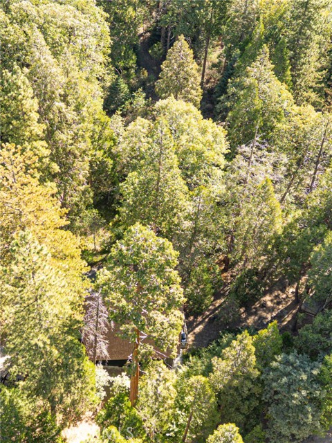 385 Birchwood, Lake Arrowhead, CA 92352