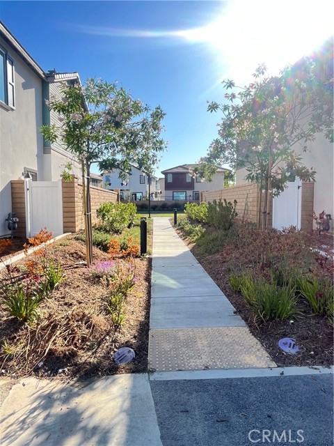 Path to park alongside the home