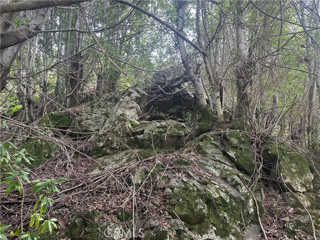 Detail Gallery Image 7 of 13 For 9000 Scotts Valley Rd, Upper Lake,  CA 95485 - – Beds | – Baths