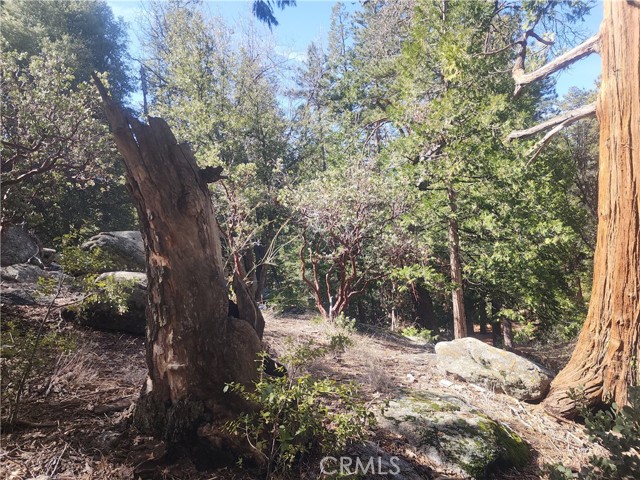 Detail Gallery Image 11 of 61 For 52547 Pine Cove Rd, Idyllwild,  CA 92549 - – Beds | – Baths