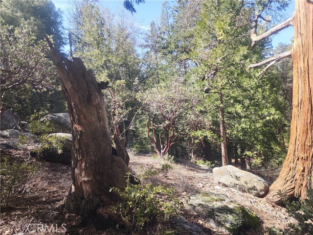 Detail Gallery Image 11 of 61 For 52547 Pine Cove Rd, Idyllwild,  CA 92549 - – Beds | – Baths