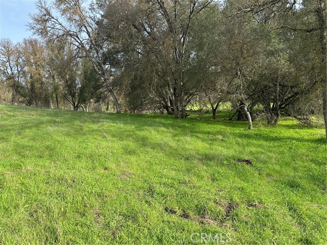 Detail Gallery Image 18 of 18 For 3224 Silver Bush Pl, Catheys Valley,  CA 95306 - – Beds | – Baths