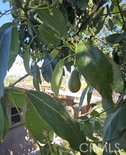 Detail Gallery Image 32 of 35 For 3320 Reynolds, Montecito Heights,  CA 90032 - 3 Beds | 2 Baths