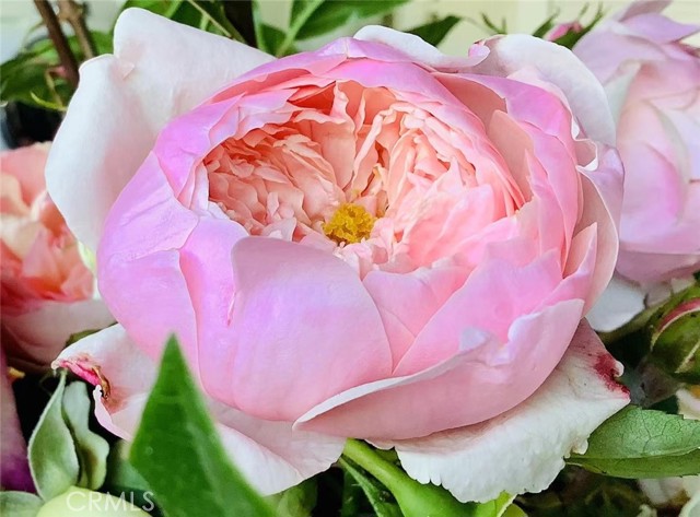 Detail Gallery Image 33 of 39 For Address Is Not Disclosed, Gardena,  CA 90249 - 5 Beds | 4 Baths