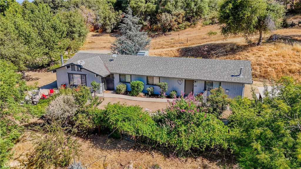 33301 road 233