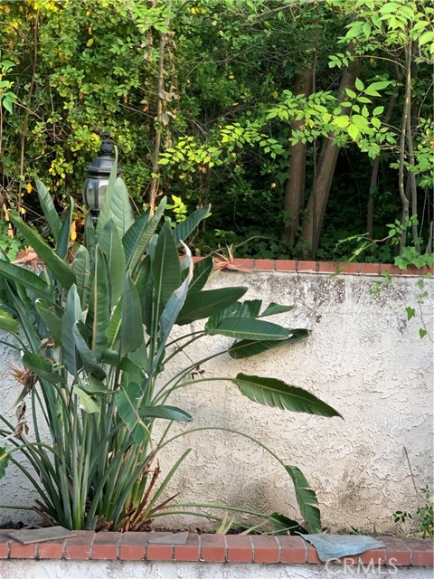 5246 Calderon Road, Woodland Hills CA: https://media.crmls.org/medias/5bcca2b0-0ba5-4ec2-bb8f-5e18c8e71930.jpg