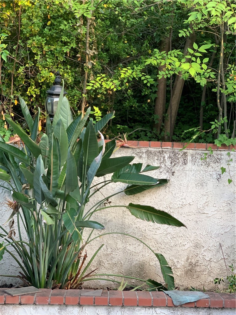 https://media.crmls.org/medias/5bcca2b0-0ba5-4ec2-bb8f-5e18c8e71930.jpg?preset=X-Large