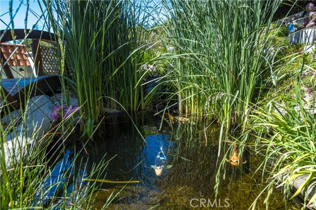 Detail Gallery Image 48 of 49 For 25650 Timpangos Dr, Calabasas,  CA 91302 - 5 Beds | 4/1 Baths