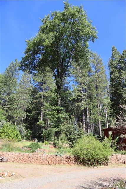 Detail Gallery Image 60 of 73 For 19449 Oroville Forbestown, Oroville,  CA 95966 - 3 Beds | 2 Baths