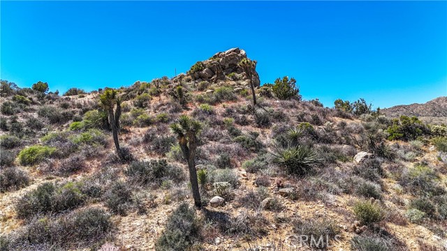 Detail Gallery Image 1 of 38 For 54944 Cheechaco Trl, Yucca Valley,  CA 92284 - – Beds | – Baths