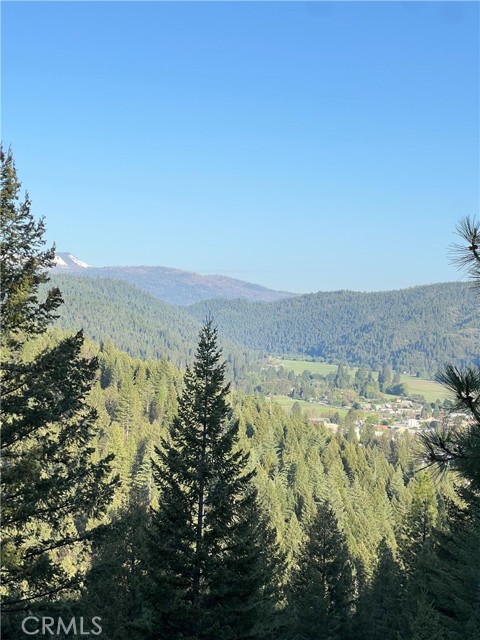 Detail Gallery Image 10 of 10 For 390 E Main, Quincy,  CA 95971 - – Beds | – Baths