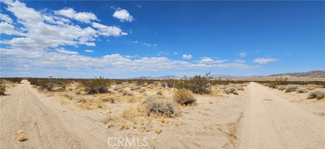 Detail Gallery Image 3 of 4 For 800 Firethorn Way, Johnson Valley,  CA 92285 - – Beds | – Baths