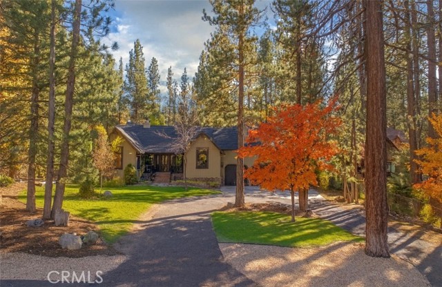 Front Image Thumbnail for CRPW25115984