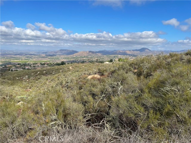 Front Image Thumbnail for CRSW26037810