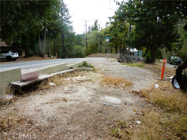 21667 Crest Forest Drive, Cedarpines Park, CA 92322