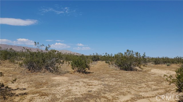 0 Budlong Ave & 114th St West, Rosamond, California 93560, ,Land,For Sale,0 Budlong Ave & 114th St West,CRSR23171065