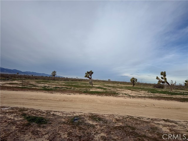 Front Image Thumbnail for CRHD26176647