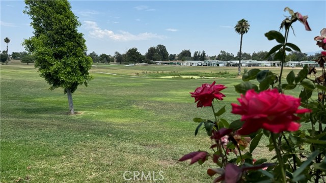 Detail Gallery Image 7 of 31 For 28973 Camino Alba, Murrieta,  CA 92563 - 3 Beds | 2 Baths