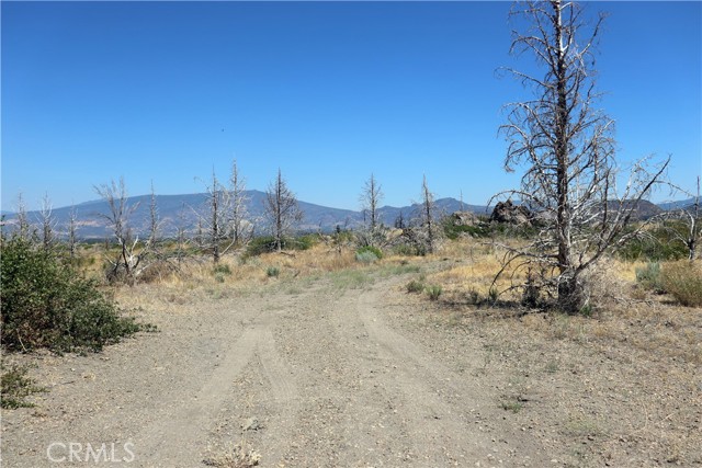 Detail Gallery Image 7 of 15 For 0 Juniper Valley Dr, Weed,  CA 96094 - – Beds | – Baths