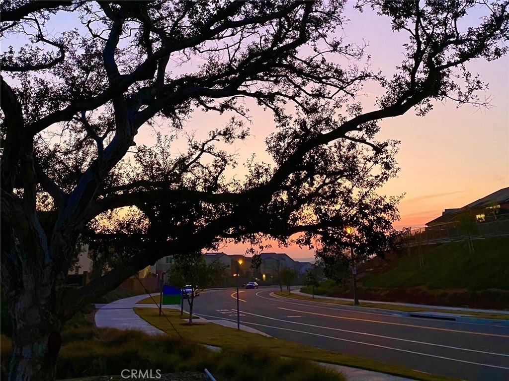 https://media.crmls.org/medias/5c025797-7838-4244-82d2-4831b327923f.jpg?preset=X-Large