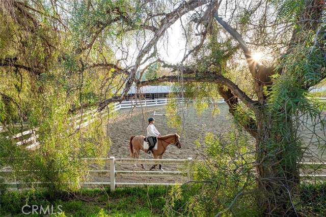 Detail Gallery Image 25 of 25 For 26527 Paseo Santa Clara 108f,  San Juan Capistrano,  CA 92675 - 3 Beds | 1 Baths