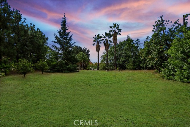 VR Edited Grass