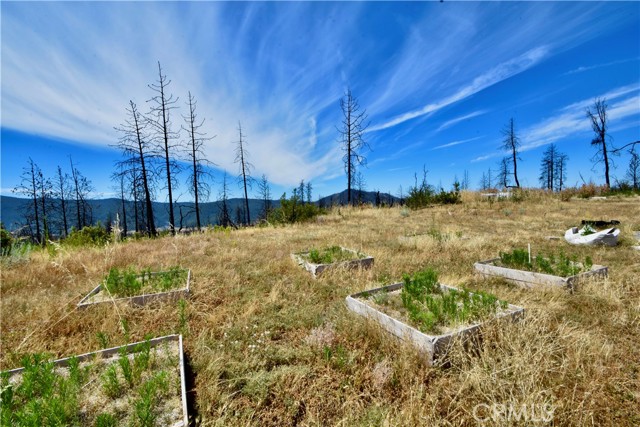 0 Crystal Ranch, Feather Falls, CA, 95940 0 Crystal Ranch, Feather Falls, CA, 95940