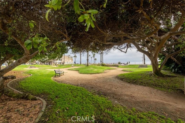 40 15th Street, Hermosa Beach CA: https://media.crmls.org/medias/5c14e342-3c4d-4a7e-9da5-ae7a92b1cda6.jpg