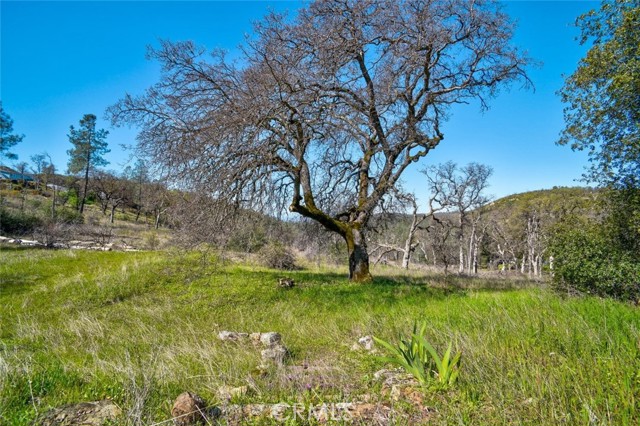 Detail Gallery Image 27 of 32 For 300 Stoney Oaks Bld, Oroville,  CA 95966 - 3 Beds | 2/1 Baths