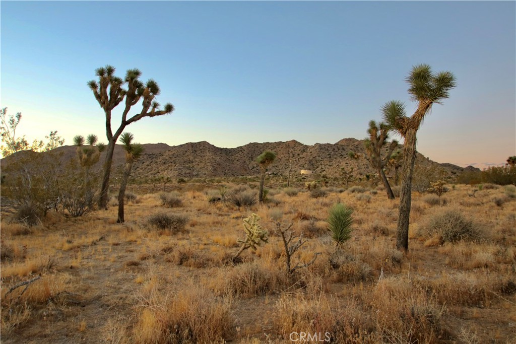 MLS #JT25001678 image #21