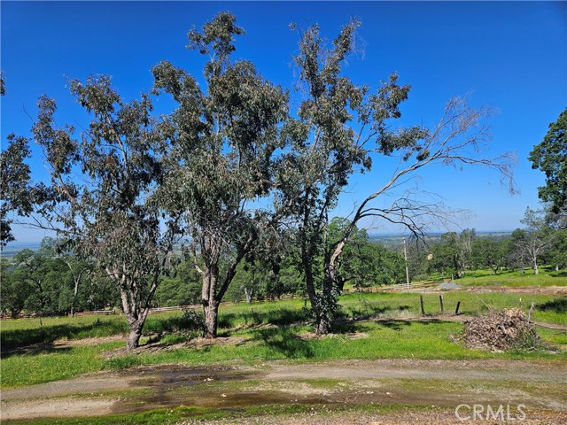 Detail Gallery Image 7 of 64 For 211 Sunnyhills Rd, Bangor,  CA 95901 - 2 Beds | 2 Baths