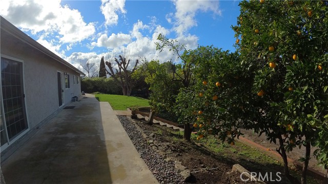 2857 Calle Damasco photo 15