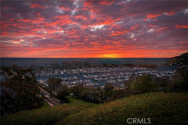 Detail Gallery Image 64 of 66 For 33231 Big Sur St, Dana Point,  CA 92629 - 4 Beds | 3 Baths