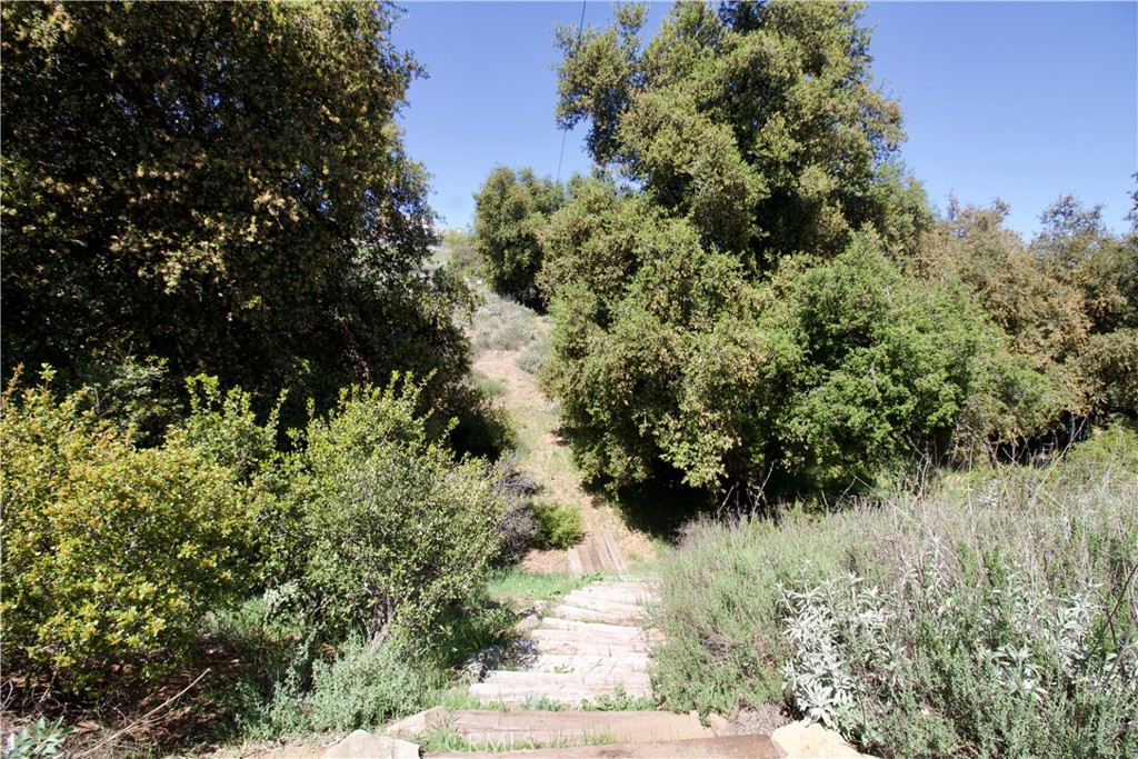 MLS #OC25090565 image #55