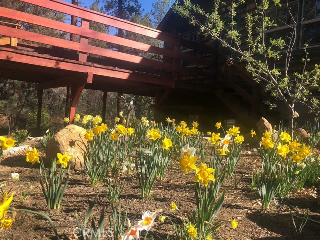 54050 Pine Crest Avenue, Idyllwild CA: https://media.crmls.org/medias/5c2b3008-7adc-4bde-9b54-7418e6cbd777.jpg