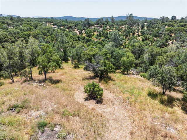 Detail Gallery Image 18 of 19 For 3 Acres Serendipity Ln, Coarsegold,  CA 93614 - – Beds | – Baths