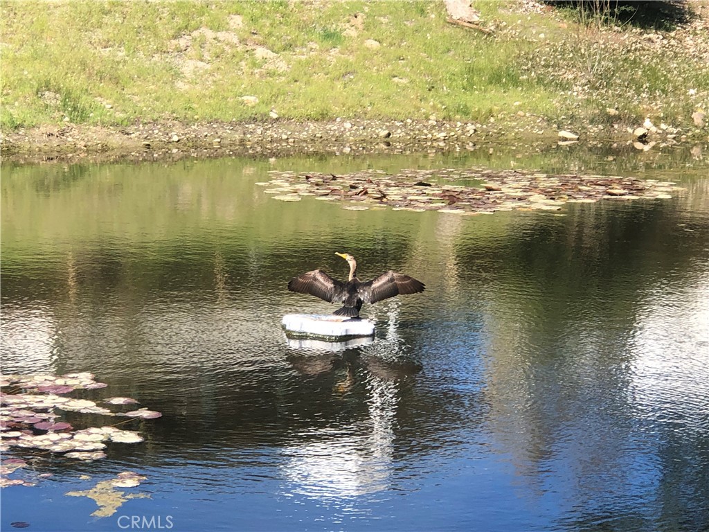 https://media.crmls.org/medias/5c311fbb-e24e-4c28-afad-34fbd5a393bc.jpg?preset=X-Large