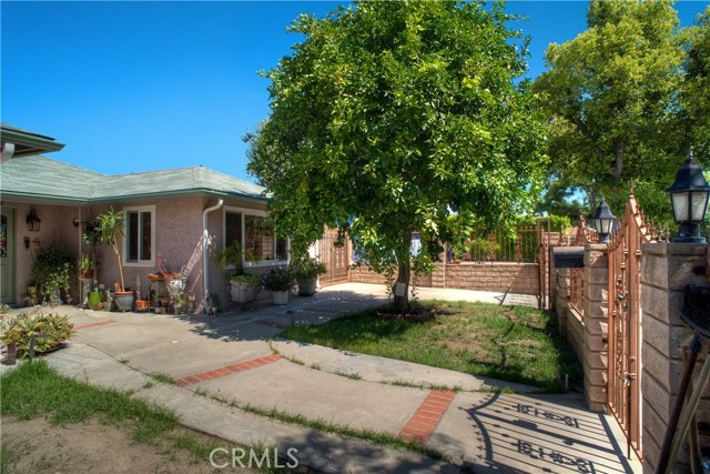 FRONT YARD WITH THE LEMON TREE