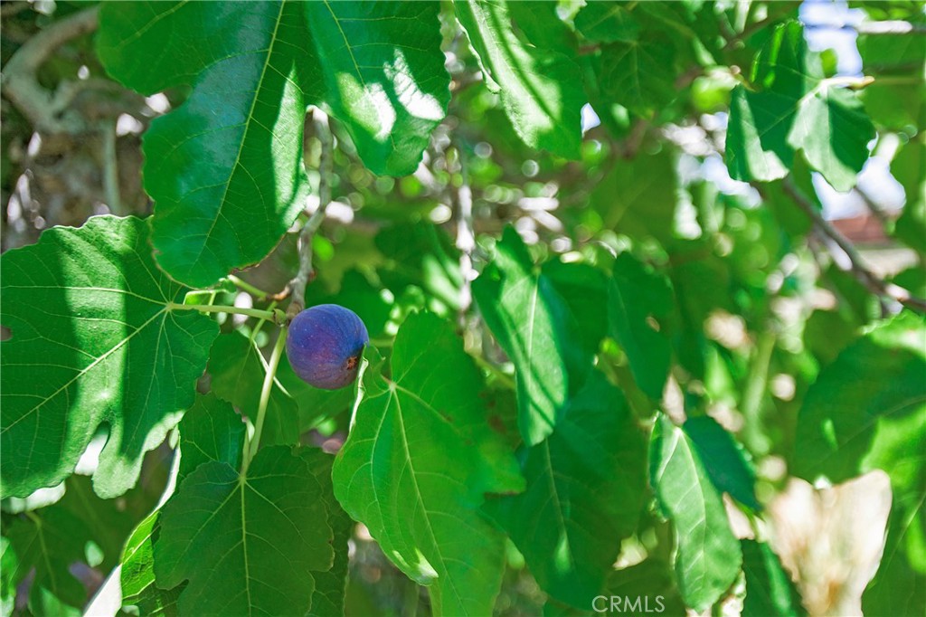 https://media.crmls.org/medias/5c3a06ee-628f-4a70-a7c4-7c9886a9730f.jpg?preset=X-Large