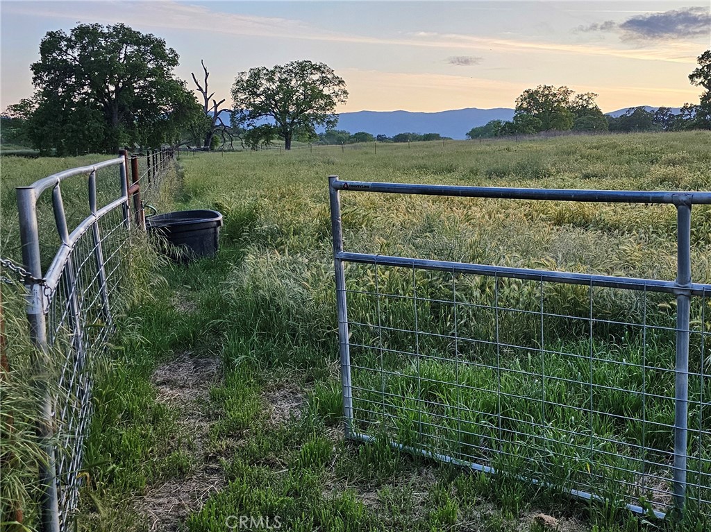 https://media.crmls.org/medias/5c3e21f7-6c76-49f9-b5fd-4a35c5389b8c.jpg?preset=X-Large