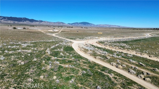 Detail Gallery Image 6 of 10 For 0 Gaskell Rd & George St, Rosamond,  CA 93560 - – Beds | – Baths