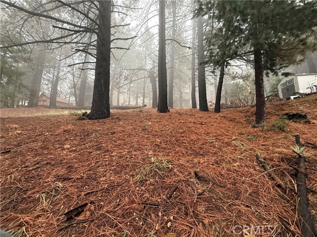 Detail Gallery Image 7 of 14 For 0 Poplar, Running Springs,  CA 92382 - – Beds | – Baths