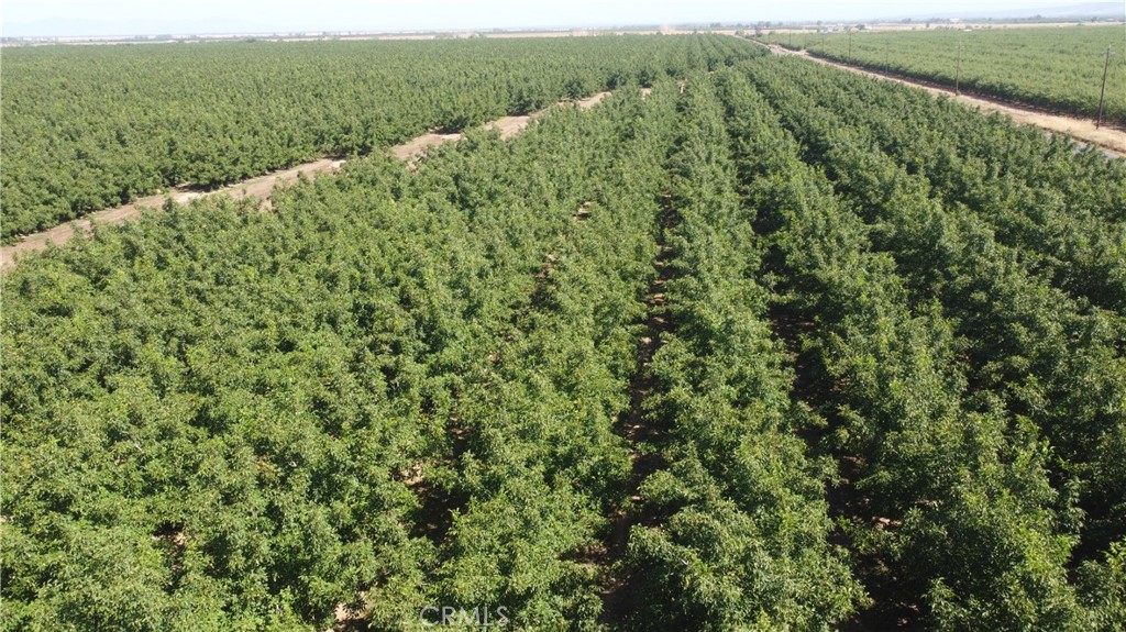 MLS #SN25233384 image #9