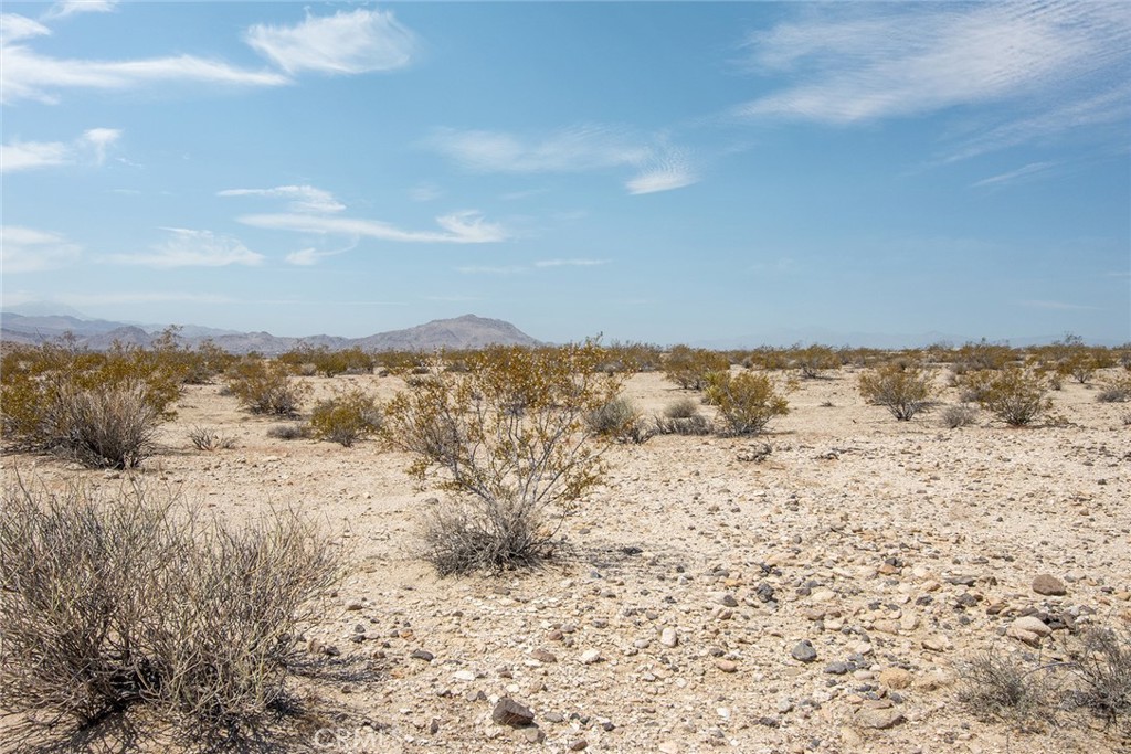 MLS #JT25181019 image #7