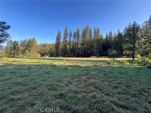 Detail Gallery Image 5 of 10 For 390 E Main, Quincy,  CA 95971 - – Beds | – Baths