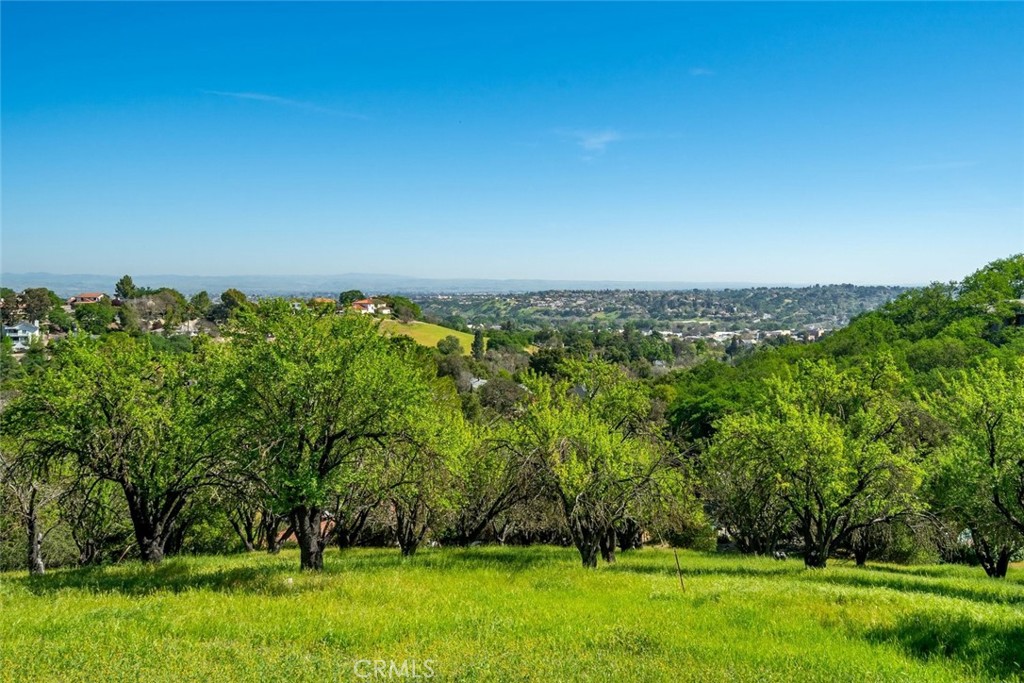 https://media.crmls.org/medias/5c5c1ad6-8804-433e-9eed-4cc4a90aa375.jpg?preset=X-Large