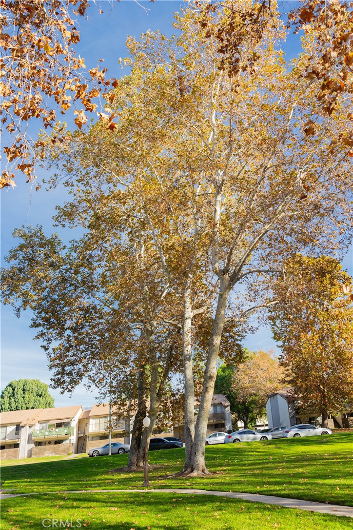 https://media.crmls.org/medias/5c65dcd2-fb8c-45d2-b84e-daba60d93eda.jpg?preset=X-Large