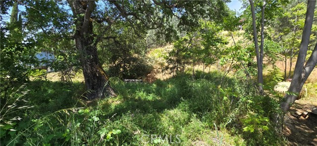 12618 Foot Hill Boulevard, Clearlake Oaks CA: https://media.crmls.org/medias/5c662fe1-fc0b-413d-bbfc-8f6afc90c5d5.jpg