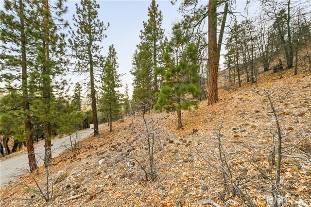 Detail Gallery Image 9 of 28 For 1237 Ridge Rd, Fawnskin,  CA 92333 - – Beds | – Baths