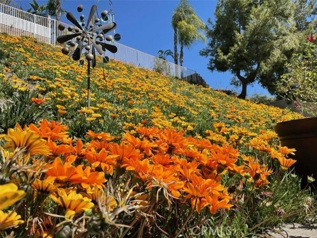 Detail Gallery Image 12 of 62 For 7743 Gold Buckle Ct, Highland,  CA 92346 - 4 Beds | 3 Baths
